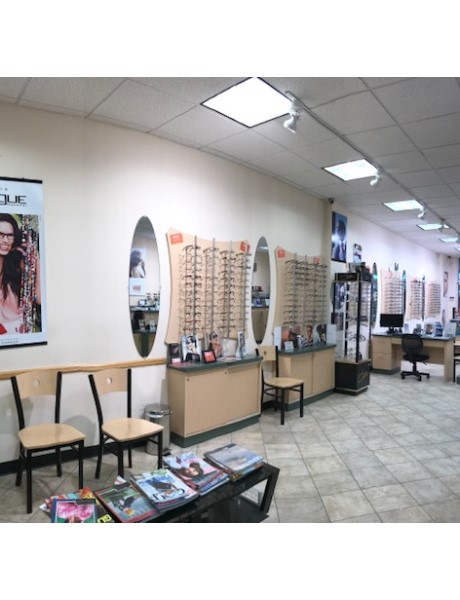 Sterling Optical Jamaica interior